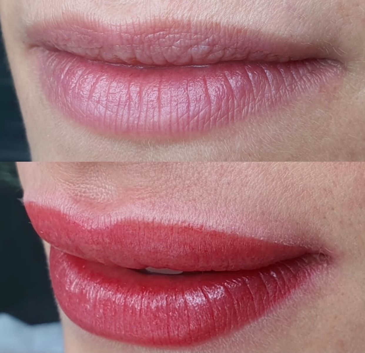 Elegance Lips: resultado de micropigmentação por Judy Mascarenhas